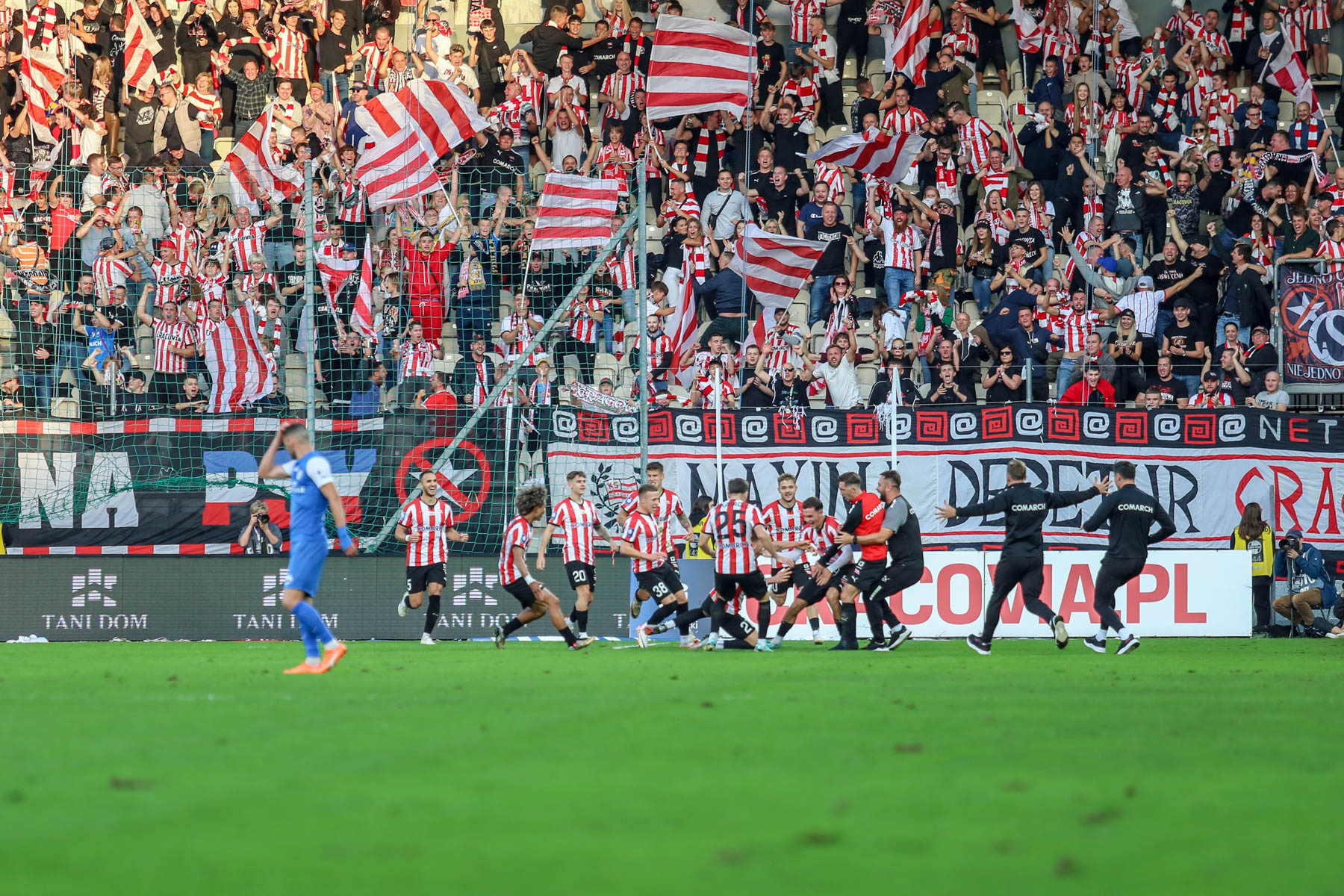 Przedwczesna radość Cracovii w meczu z Puszczą. Fot: Mateusz Kaleta/LoveKraków.pl